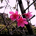 20120122嶺秀-除夕