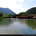 SAM_3446-1 (大型)