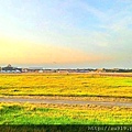 2014桃園地景藝術節