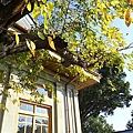 SAM_3113 (小型).JPG