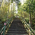 20110206初四鳳凰谷鳥園