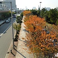 20091128東京.日光自助行