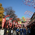 20091201東京.日光自助行