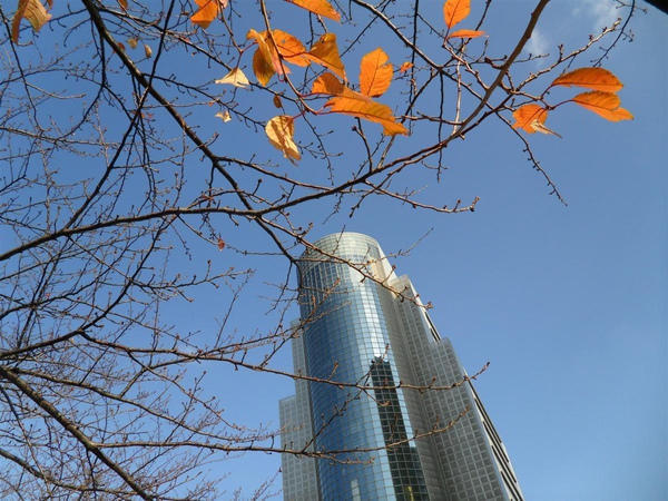 20091201東京.日光自助行