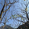 20110206初四鳳凰谷鳥園