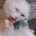 小春日和_170620_0009.jpg