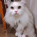 小春日和_170620_0011.jpg
