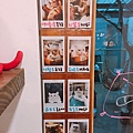 小春日和_170620_0015.jpg