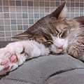 小春日和_170620_0035.jpg