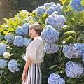 繡球花季_170624_0002.jpg