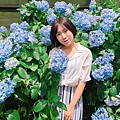 繡球花季_170624_0004.jpg