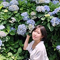 繡球花季_170624_0005.jpg