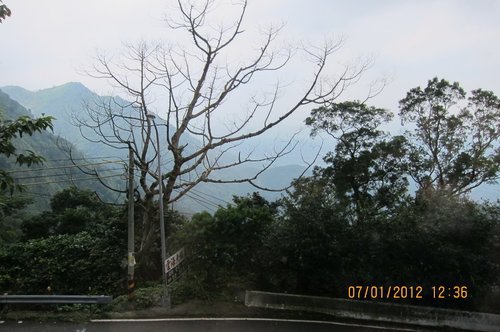 雲海大飯店