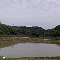 遠望坑親水公園