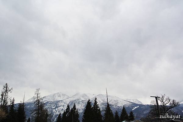 DSC_2194.jpg DSC_2194.jpg