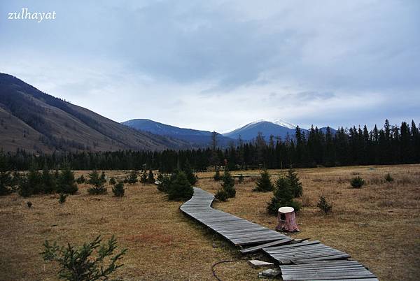 DSC_2226.jpg DSC_2226.jpg