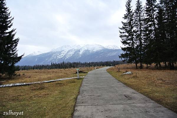 DSC_2227.jpg DSC_2227.jpg