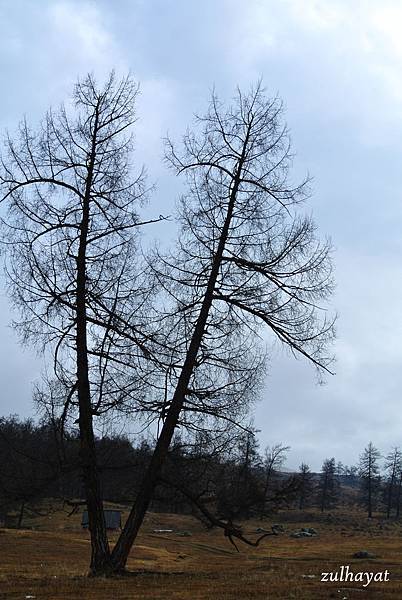 DSC_2277.jpg DSC_2277.jpg