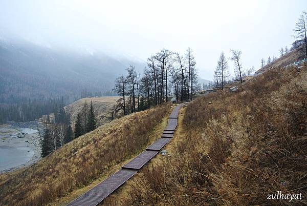 DSC_2310.jpg DSC_2310.jpg