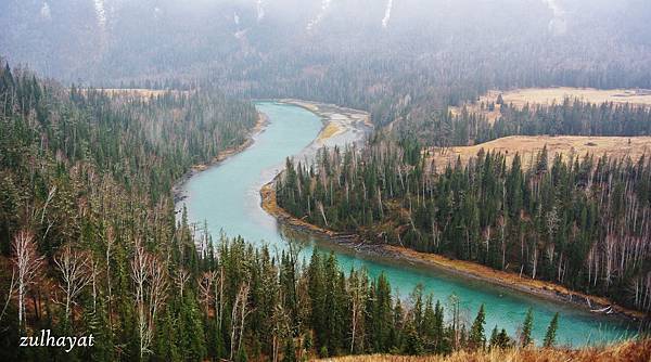 DSC_2313.jpg DSC_2313.jpg