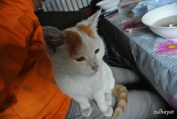 DSC_2339.jpg DSC_2339.jpg