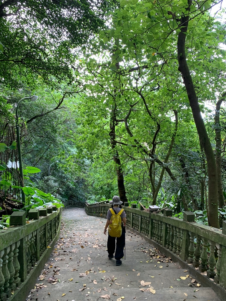 天上山系 圓通寺連峰步道