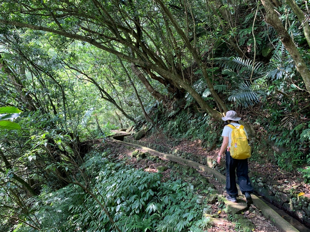 相片 2024-10-13 下午1 39 49.jpg