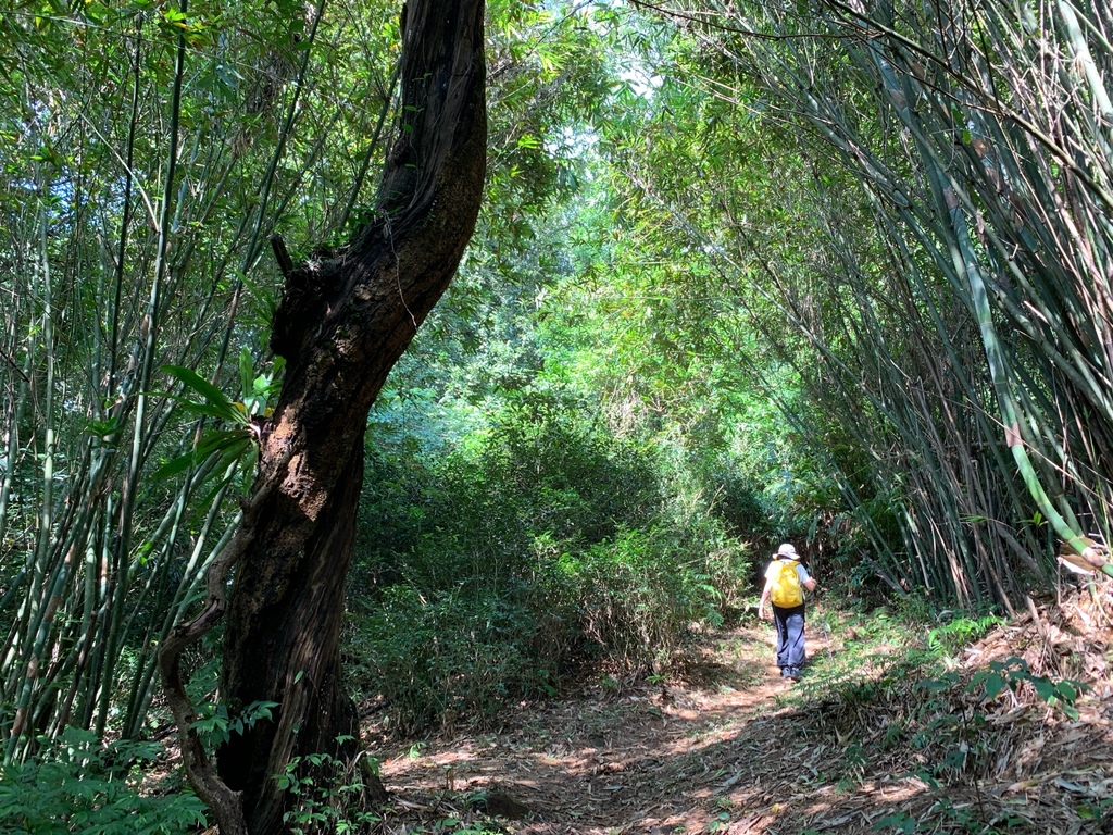 相片 2024-10-13 下午1 57 16.jpg