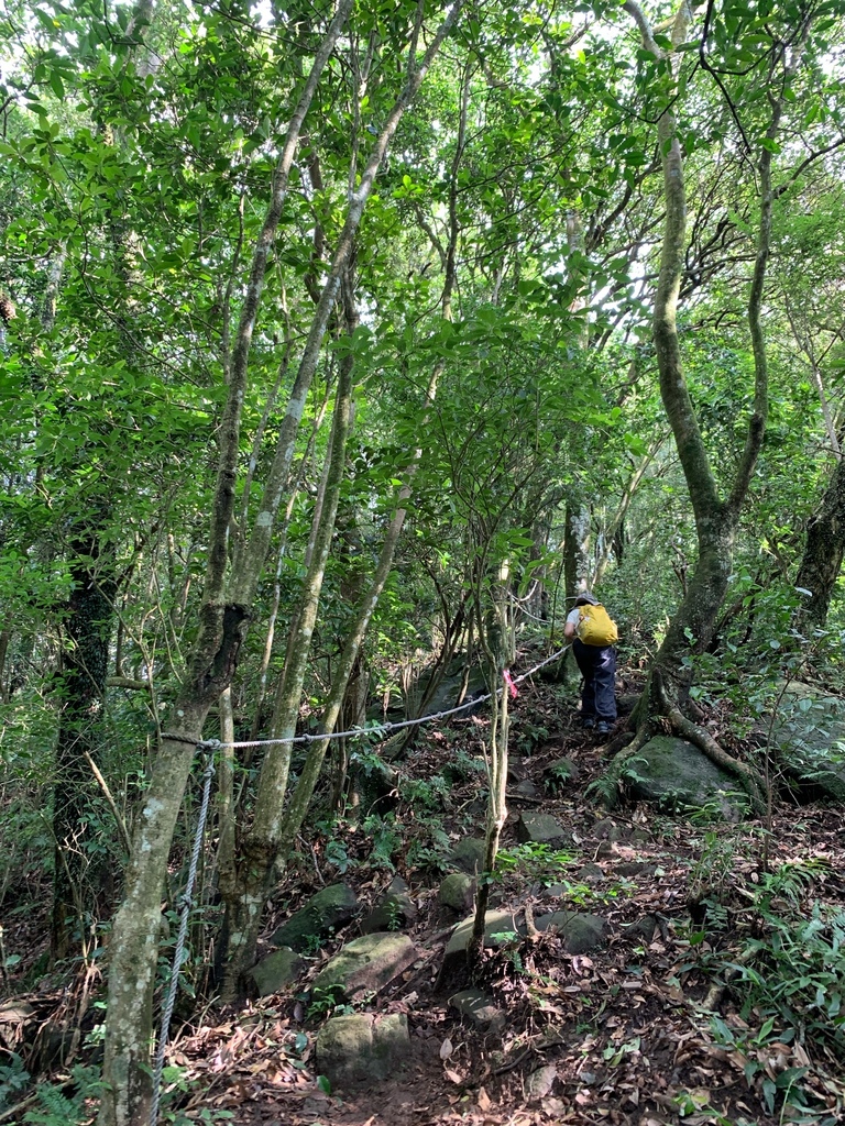 相片 2024-10-13 下午2 58 17.jpg