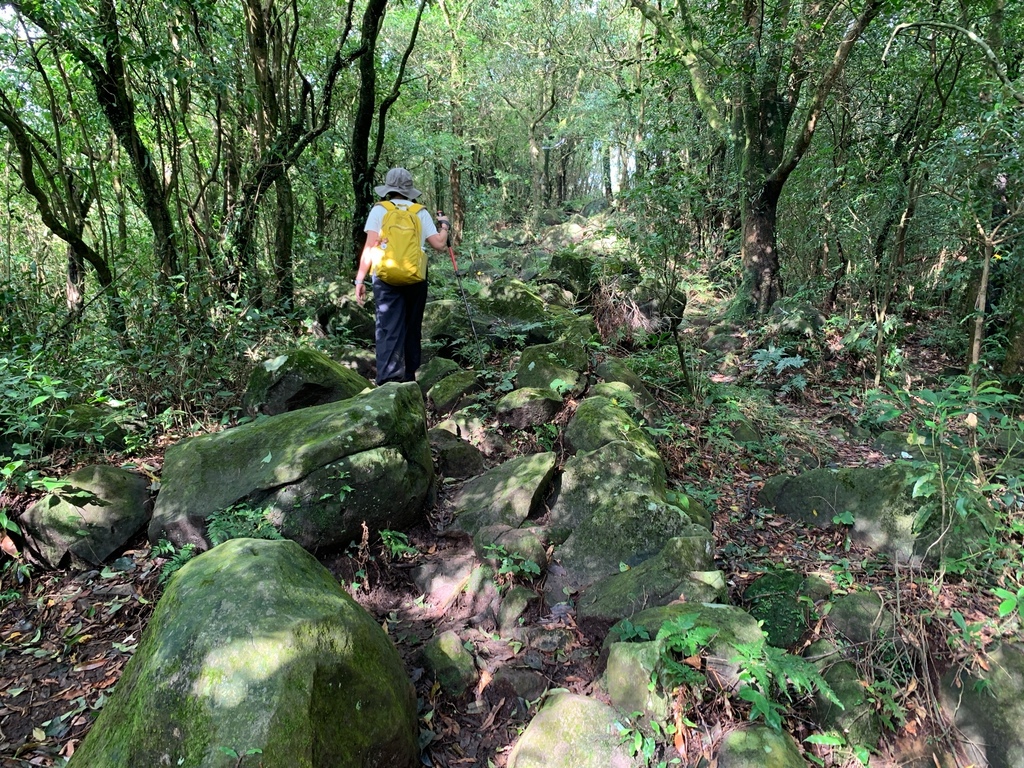 相片 2024-10-13 下午3 16 37.jpg