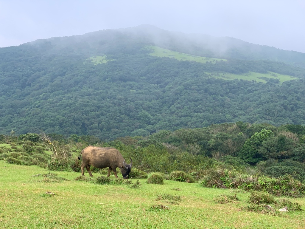 相片 2024-10-13 下午3 26 57.jpg