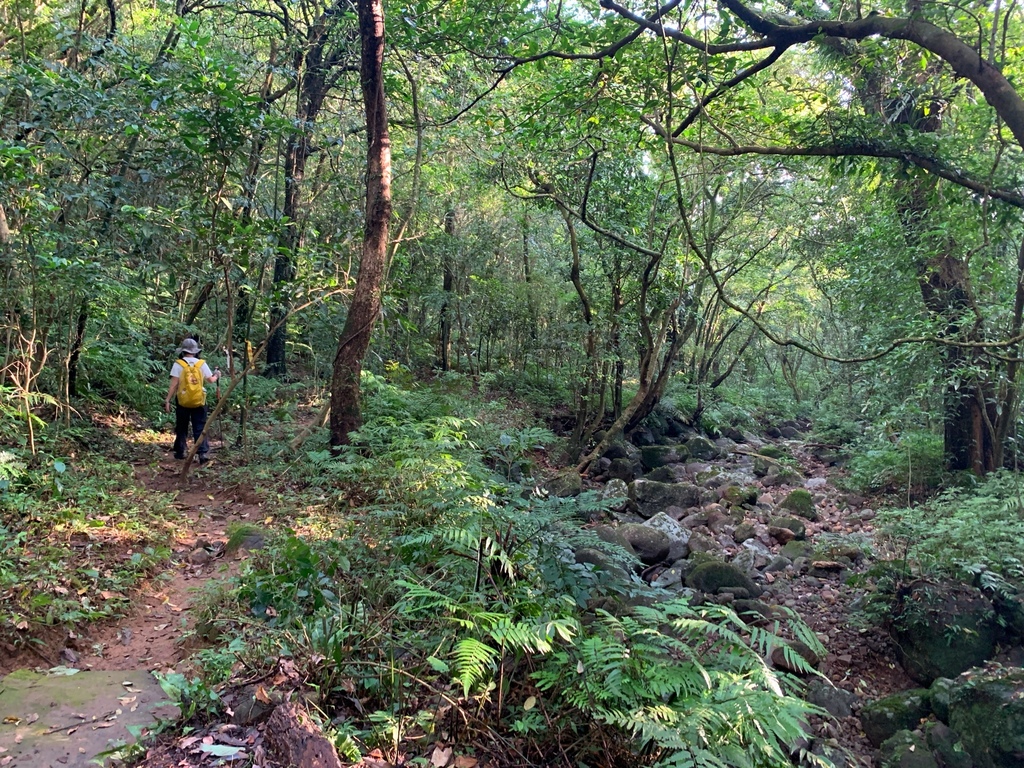 相片 2024-10-13 下午4 09 51.jpg