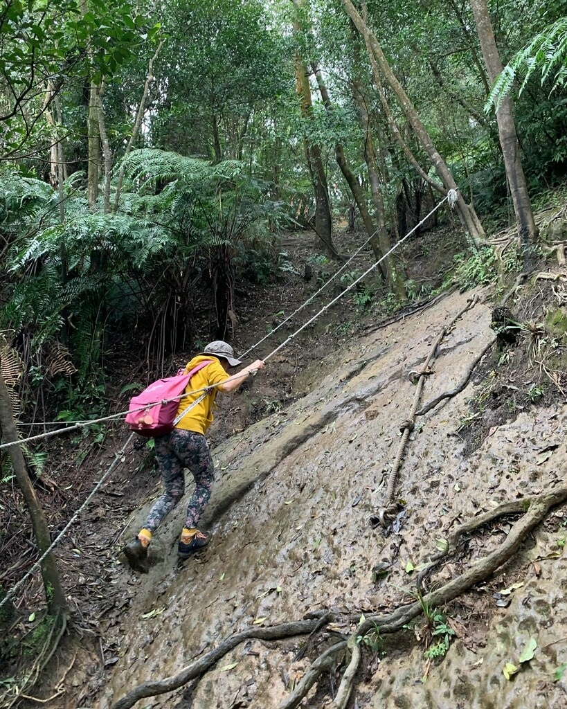 新山夢湖 美女與野獸的邂逅