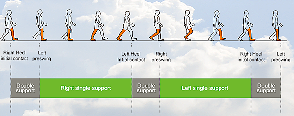 步態.png 步態.png