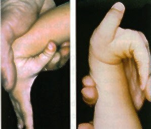 圖片3.jpg 圖片3.jpg