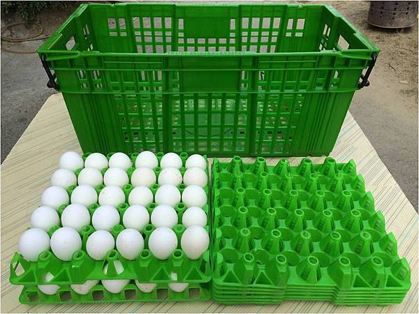 蛋箱1.jpg