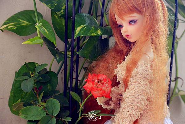 DSC_2825_副本_副本.jpg DSC_2825_副本_副本.jpg