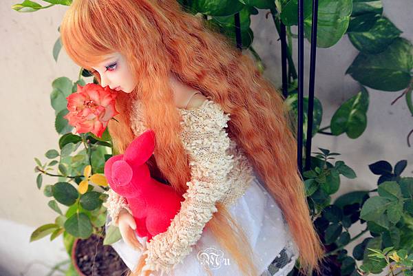 DSC_2838_副本_副本.jpg DSC_2838_副本_副本.jpg