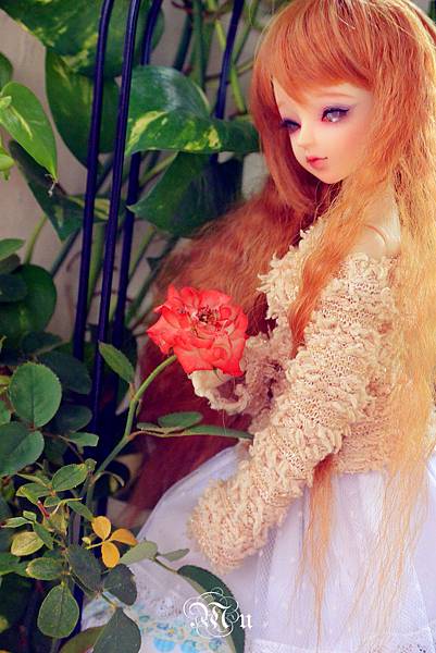 DSC_2824_副本_副本.jpg DSC_2824_副本_副本.jpg