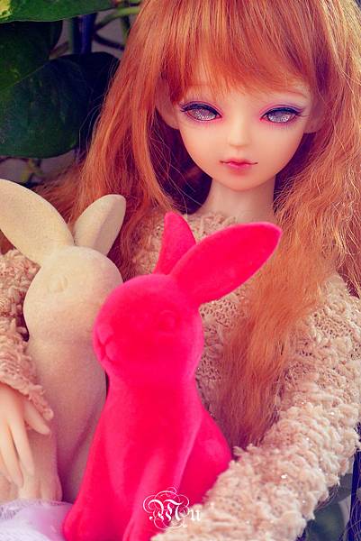 DSC_2849_副本_副本.jpg DSC_2849_副本_副本.jpg