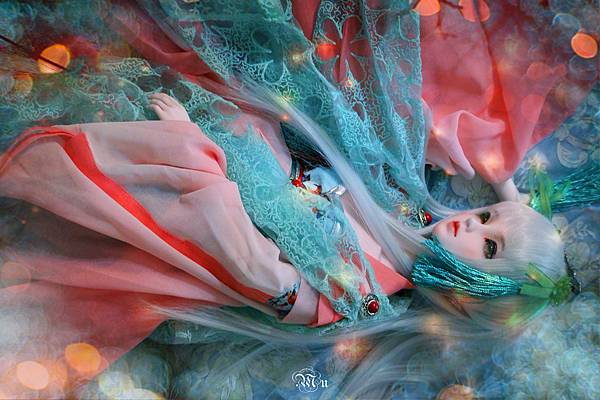 DSC_2630_副本_副本.jpg DSC_2630_副本_副本.jpg