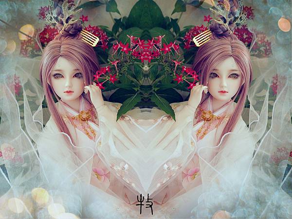 DSC_3184_副本_副本_副本.jpg DSC_3184_副本_副本_副本.jpg