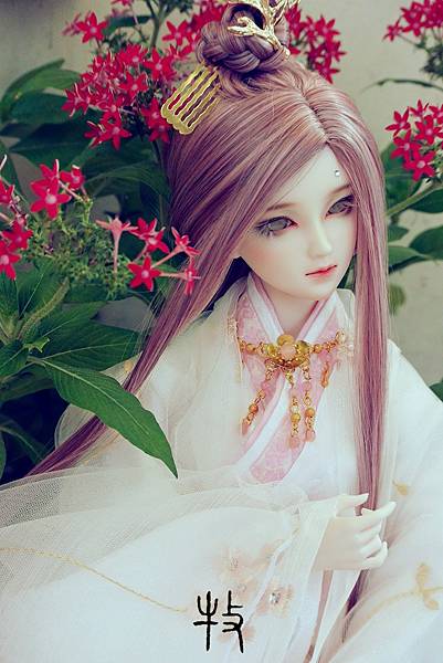 DSC_3182_副本_副本.jpg DSC_3182_副本_副本.jpg