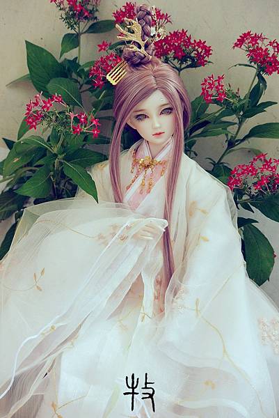 DSC_3178_副本_副本.jpg DSC_3178_副本_副本.jpg