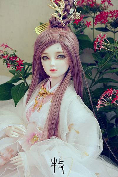 DSC_3187_副本_副本.jpg DSC_3187_副本_副本.jpg