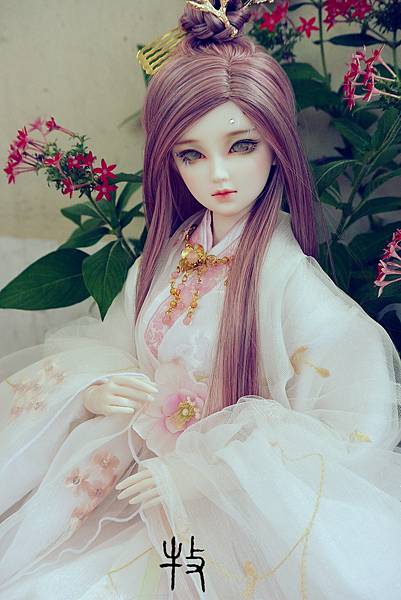 DSC_3189_副本_副本.jpg DSC_3189_副本_副本.jpg