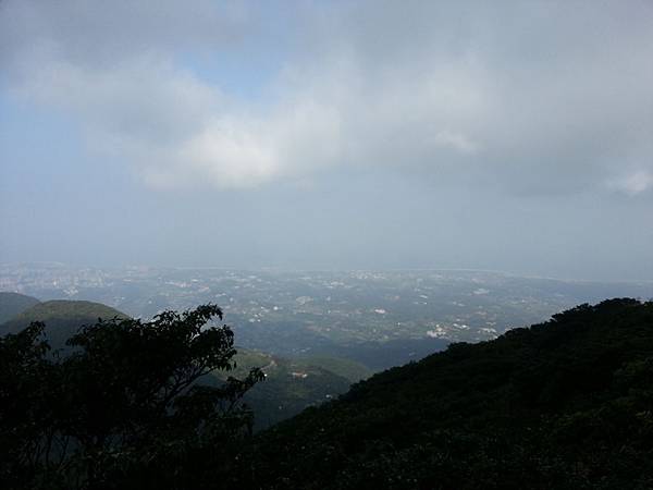 助航站賞芒草花,黃菀 163