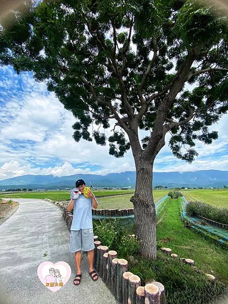 【台東景點】台東一覽無遺的田野，放鬆旅遊的好去處-伯朗大道