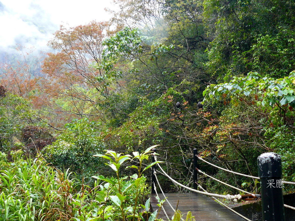 綠水合流步道-10