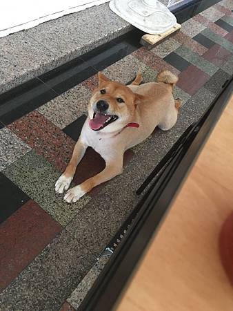 IMG_3439.JPG IMG_3439.JPG